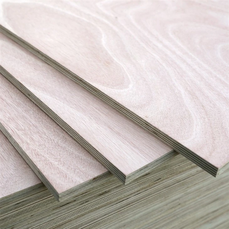 Shandong Factory Supply Hot Wholesale Price Commercial Plywood 18MM Plywood