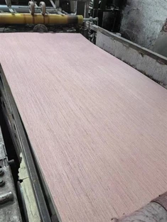 Ván ép 1,2MM đến 3mm chuyên dụng cho giấy Melamine Laminate